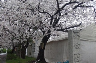 2011y02m16d_112018422.jpg